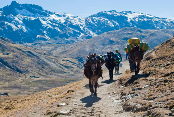Andes
